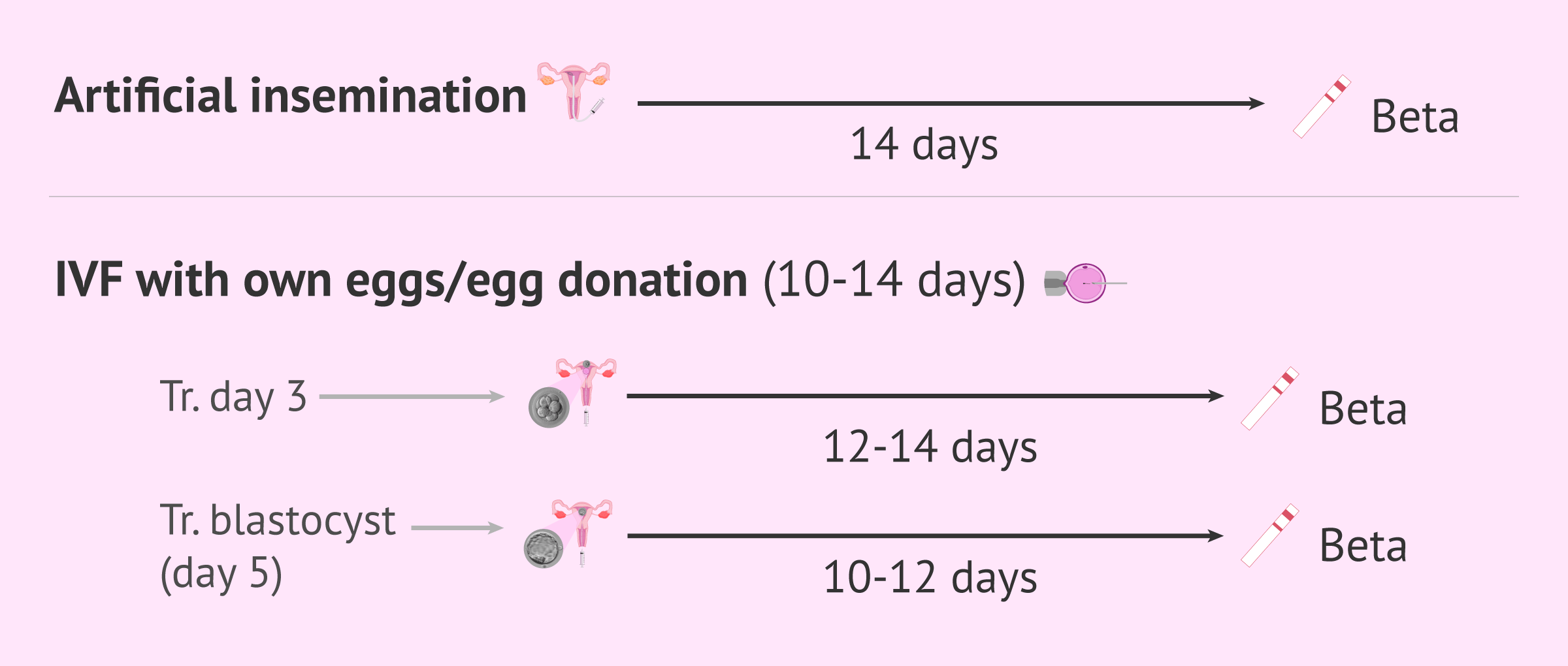 Imagen: Length of the beta wait period depending on the treatment