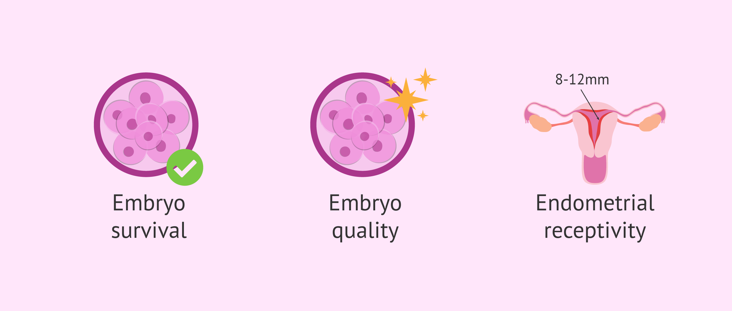 Imagen: Success factors in the transfer of cryopreserved embryos (o Frozen embryo transfer success factors)