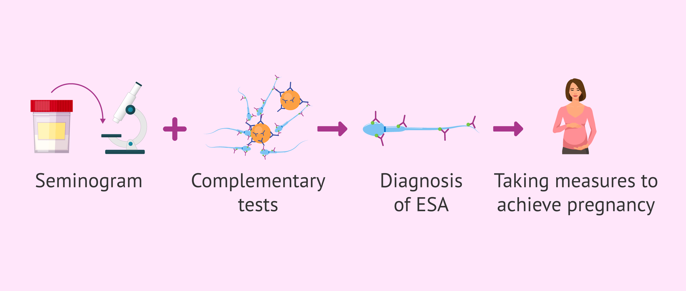 Imagen: Diagnosis of ESA and pregnancy