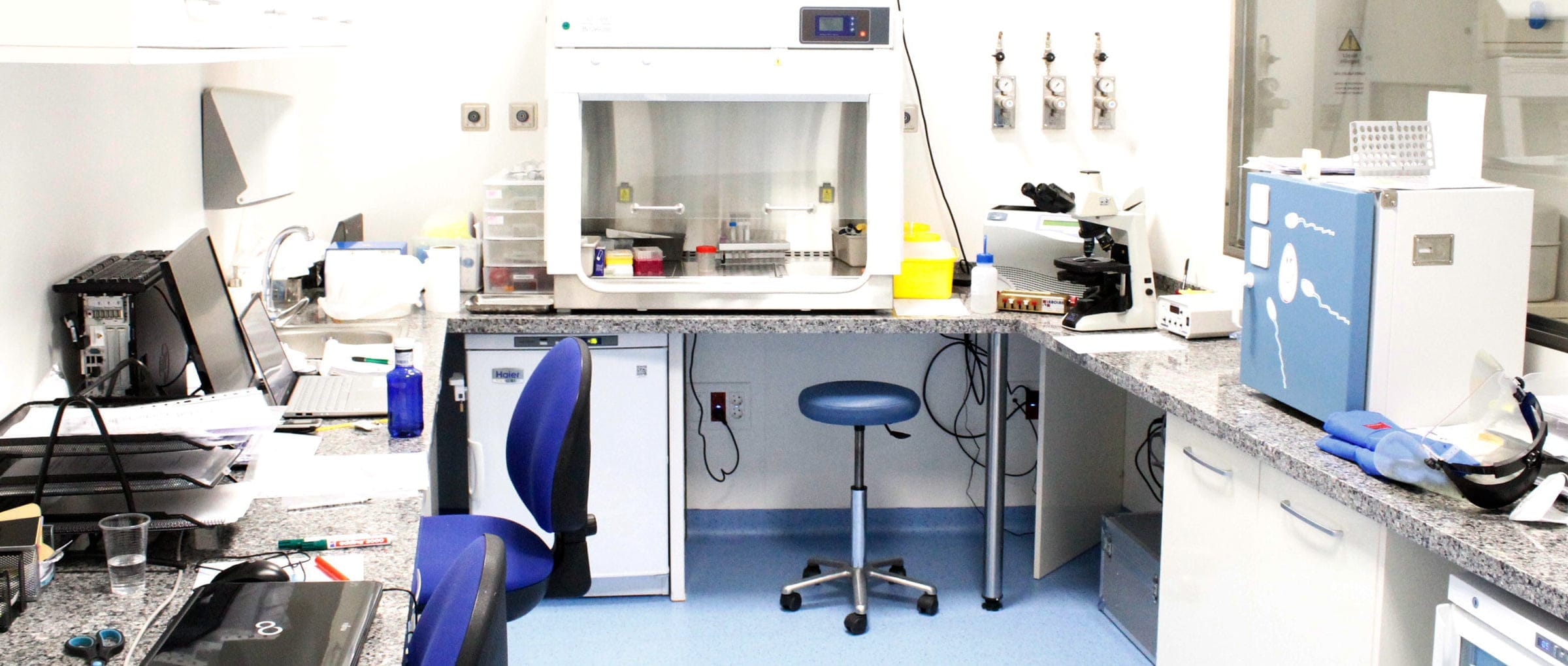 Imagen: Victoria Rey Clinic Andrology Laboratory