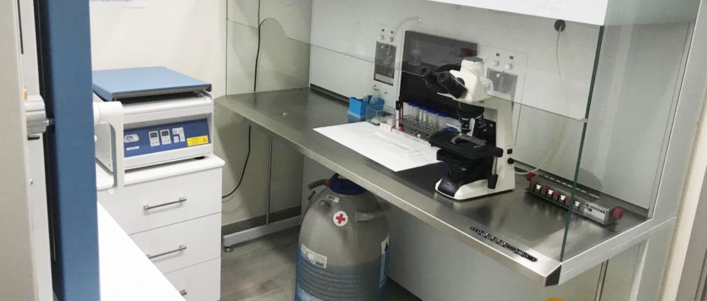 Imagen: JOFREFIV andrology area