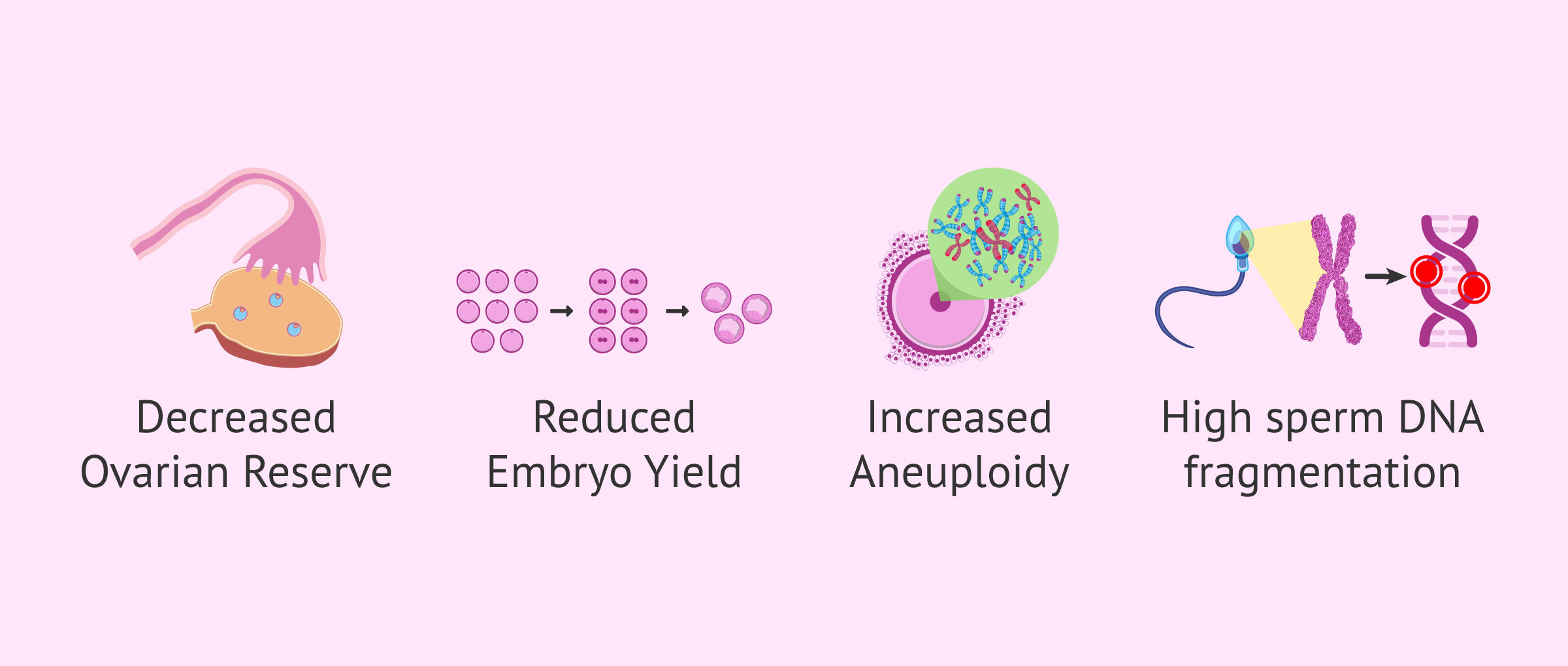 Imagen: Reasons for not obtaining embryos after PGT