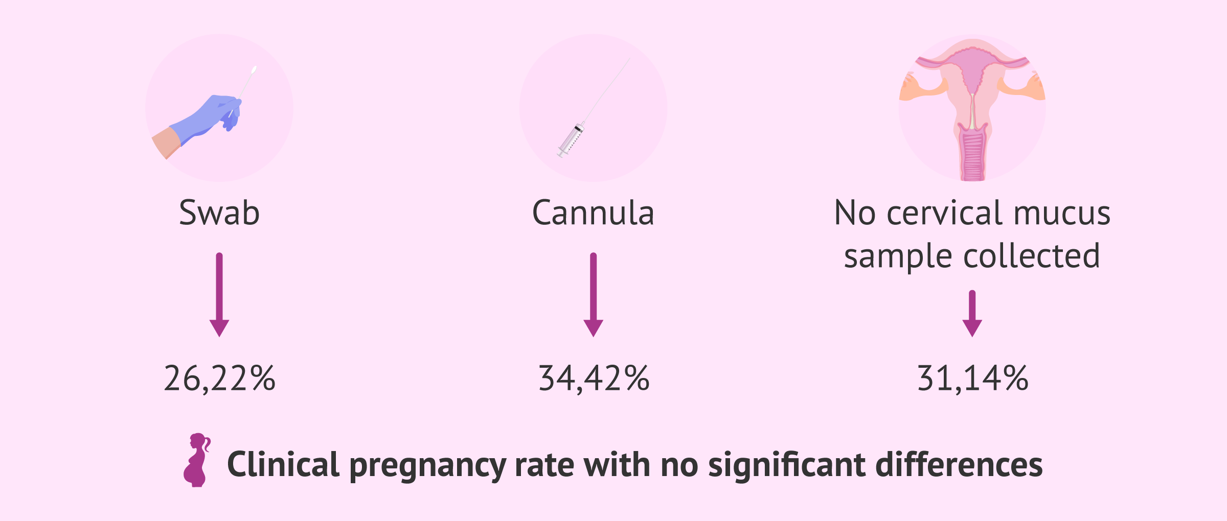 Imagen: Effect of removing cervical mucus on the ICSI success rate
