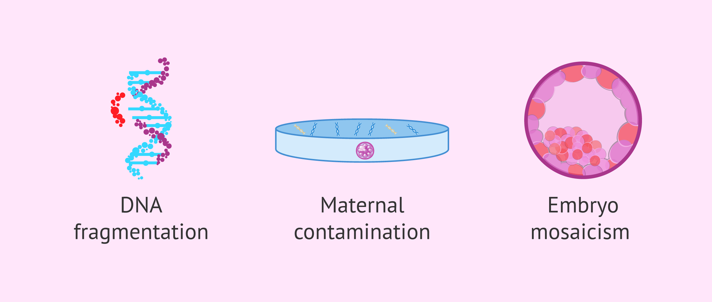 Imagen: Limitations of non-invasive preimplantation genetic testing