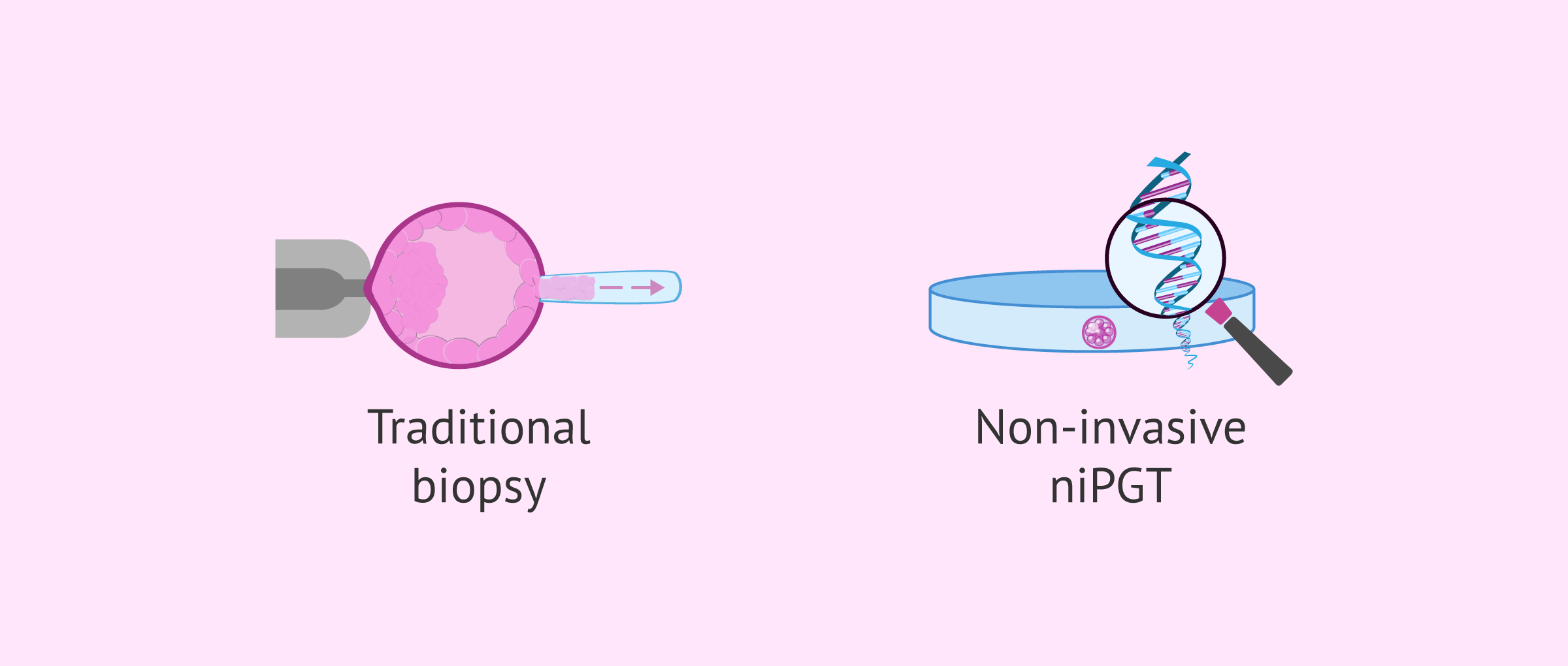 Advances in non-invasive preimplantation genetic testing (niPGT)