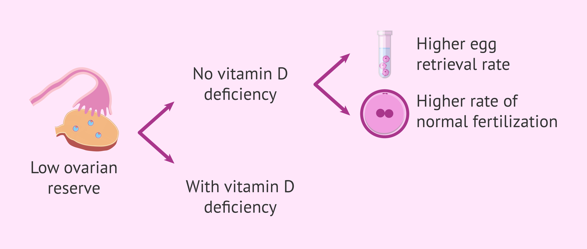 Imagen: IVF results with low ovarian reserve and vitamin D deficiency