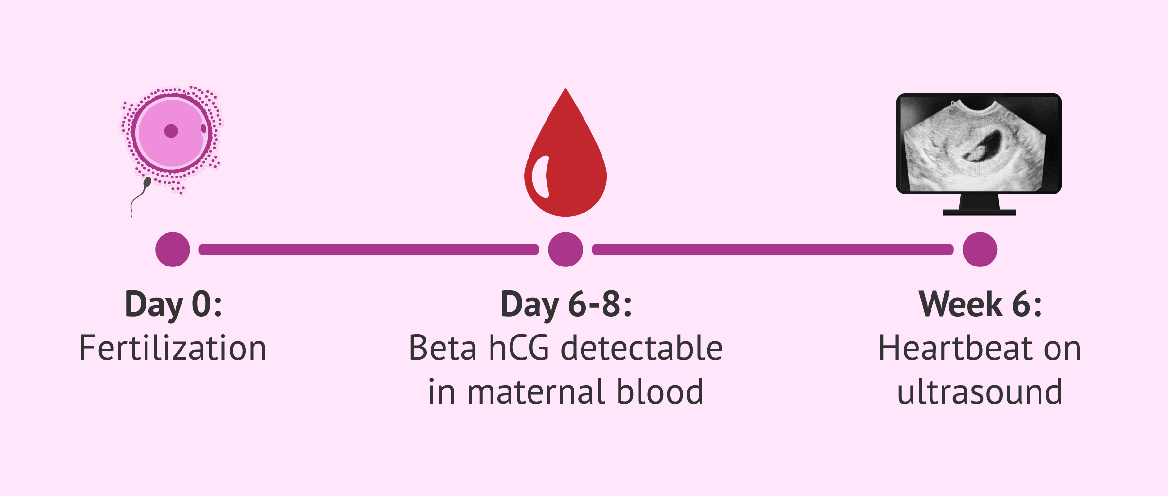 The incredible beta hCG data that defines pregnancy success