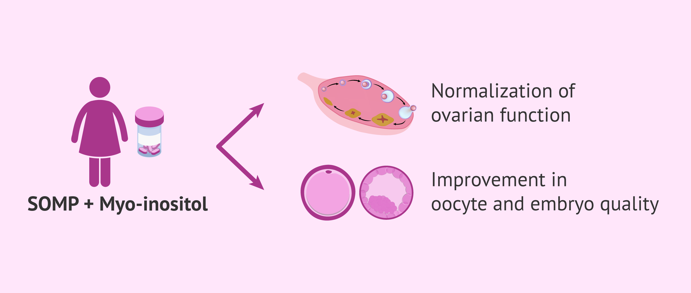 IVF Supplements: The danger of taking them without control