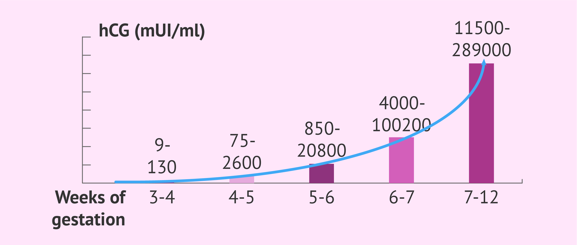 Hcg Quant Chart
