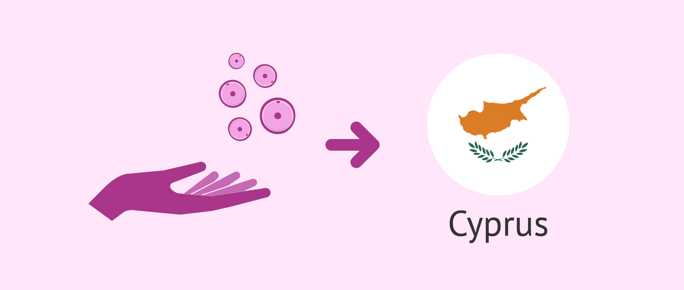 Donor egg IVF Cost In Cyprus