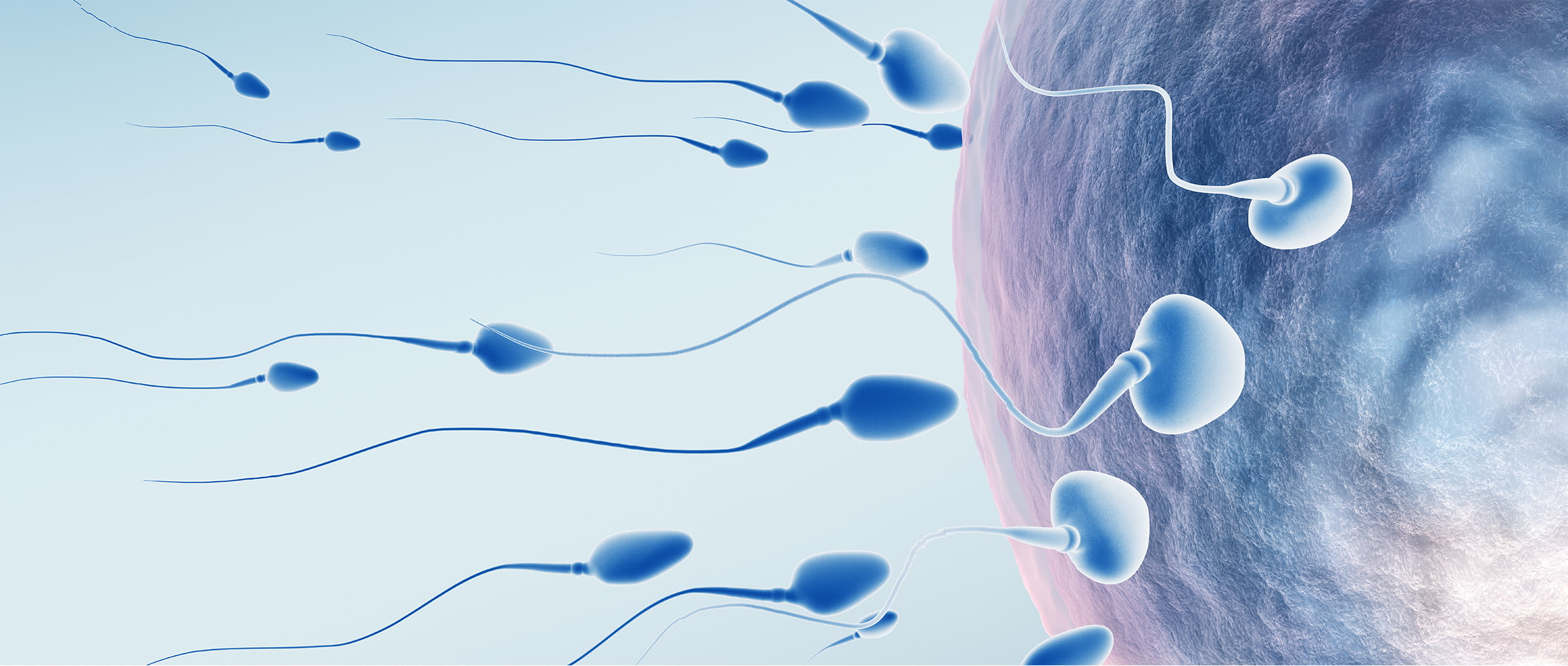 Male sperm health, tonguing xnxx